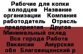 Рабочие для копки колодцев › Название организации ­ Компания-работодатель › Отрасль предприятия ­ Другое › Минимальный оклад ­ 1 - Все города Работа » Вакансии   . Амурская обл.,Благовещенский р-н